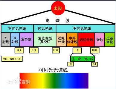 圖片2.jpg 圖片2.jpg