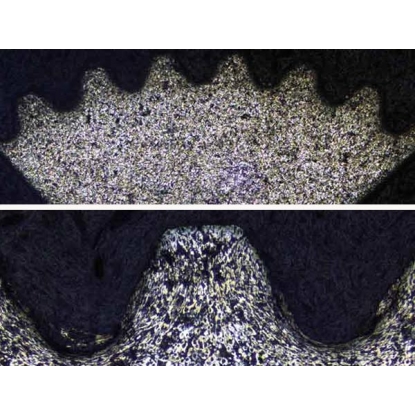 細(xì)致入微地觀察樣品 細(xì)致入微地觀察樣品