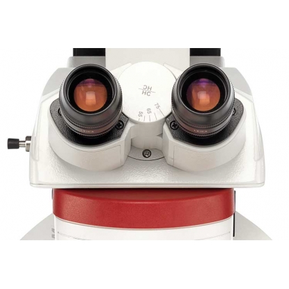 Leica DM4 M 和 Leica DM6 M 立式顯微鏡 Leica DM4 M 和 Leica DM6 M 立式顯微鏡