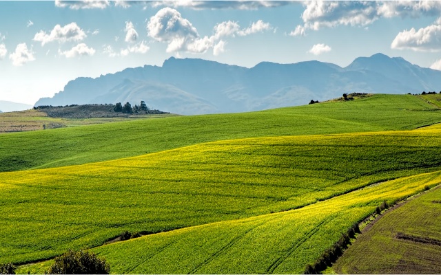 農(nóng)田 農(nóng)田